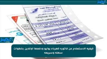 كيفية الاستعلام عن فاتورة كهرباء يوليو ودفعها أونلاين بخطوات سهلة وسريعة